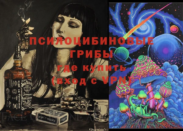 соль ск Алзамай