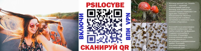 Галлюциногенные грибы Cubensis  даркнет сайт  Апатиты 